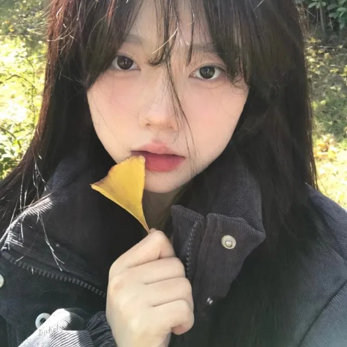 请问总统先生